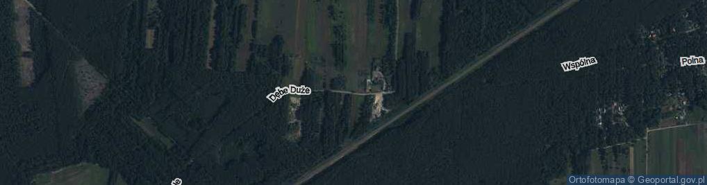 Zdjęcie satelitarne Dębe Duże ul.